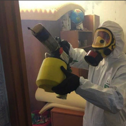 Уничтожение клопов в квартире. Чернушка